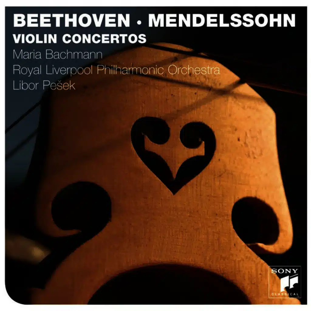 Violin Concerto in E minor, Op.64 (2010)