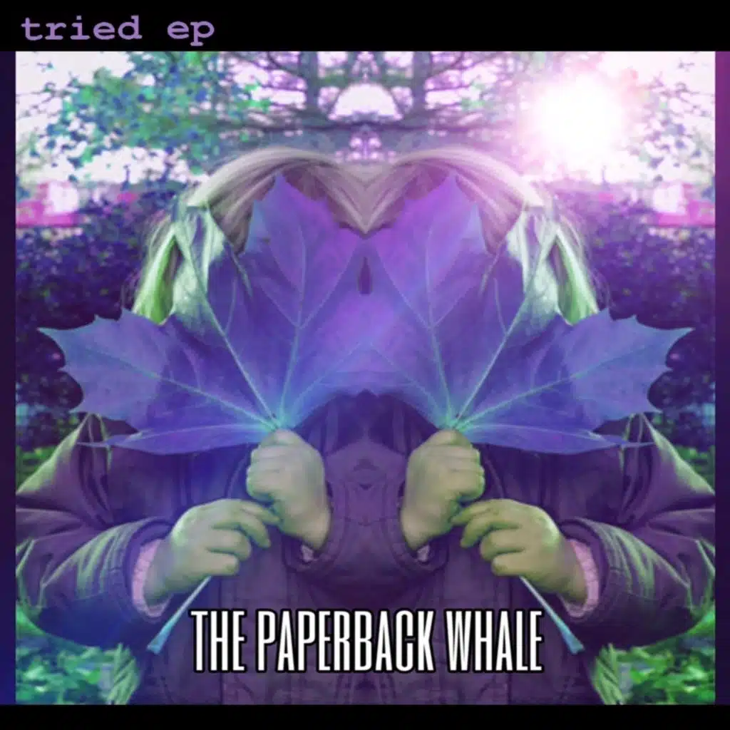 The Paperback Whale