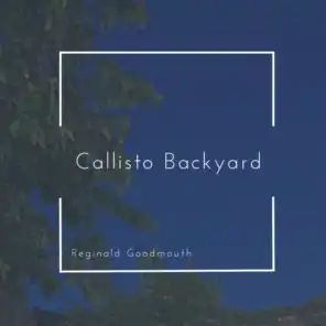Callisto Backyard