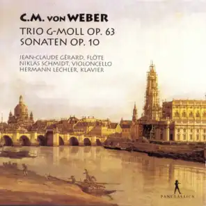 Trio in G Minor, Op. 63, J. 259: III. Schäfers Klage. Andante espressivo