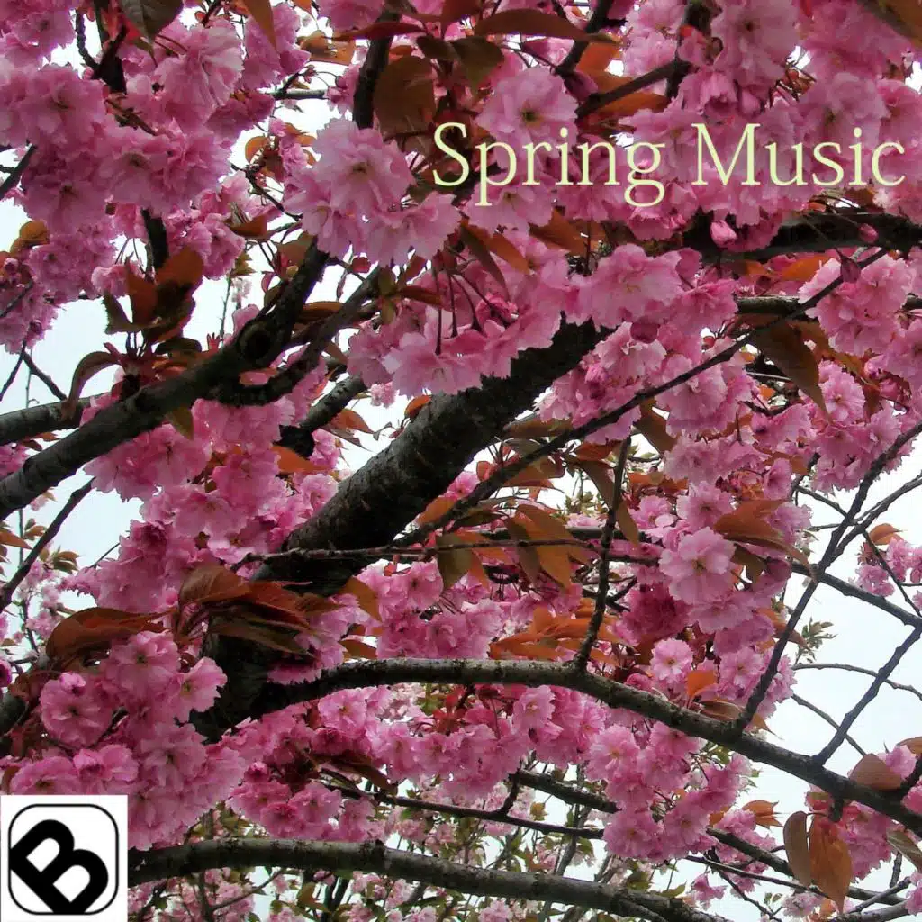 Lady In Black (Reloaded)