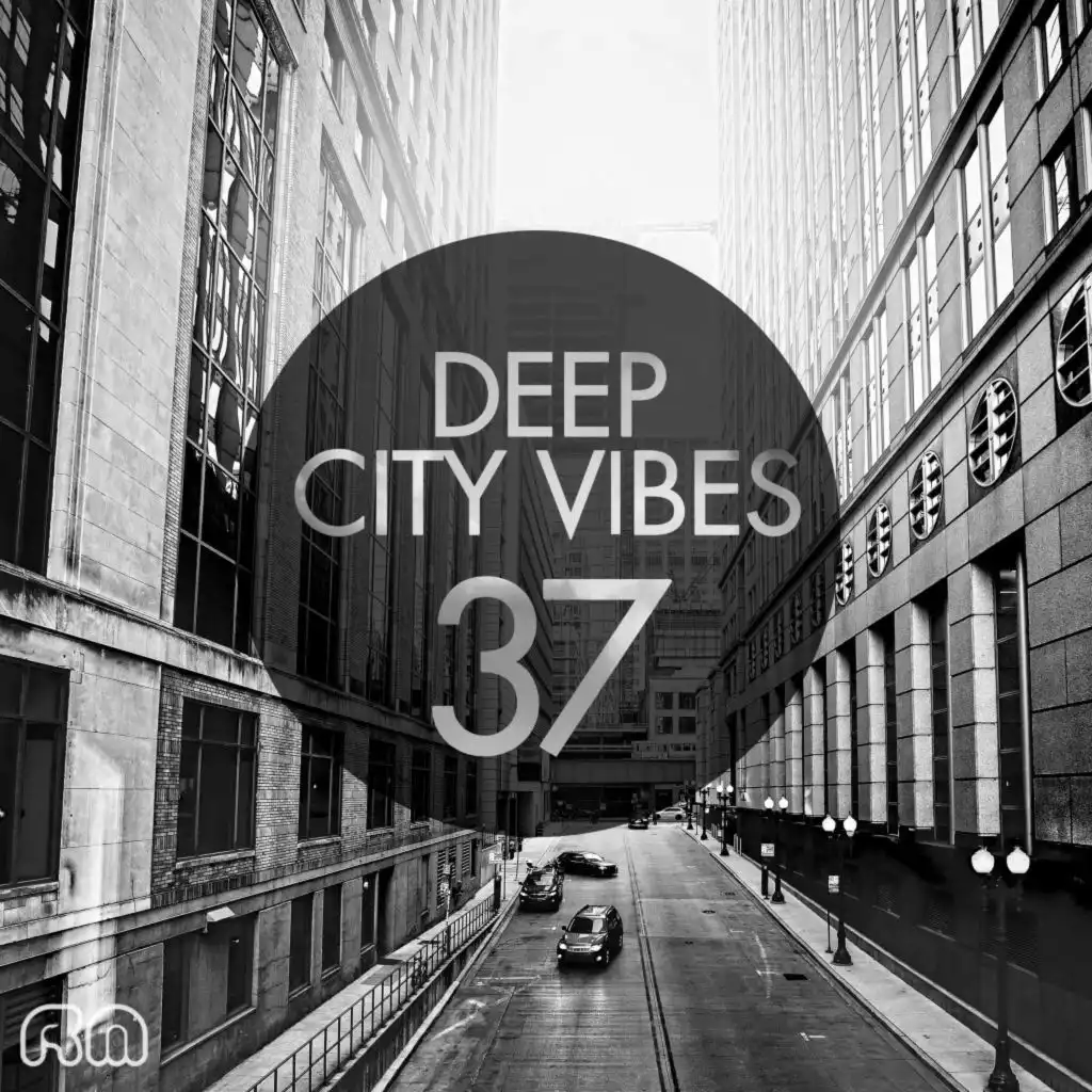 Deep City Vibes, Vol. 37