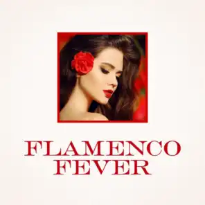 Flamenco Fever
