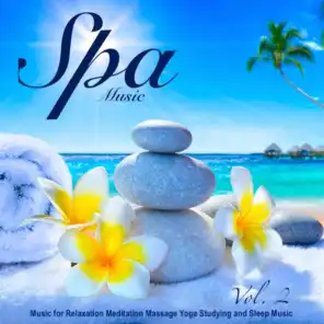 Spa Music - Music for Relaxation Meditation Massage Yoga Studying and Sleep Music, Vol. 2
