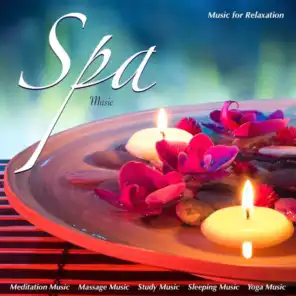 Spa Music: Music for Relaxation Meditation Music Masssage Music Study Music Sleeping Music and Yoga Music