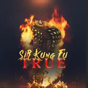 Sir Kung-Fu