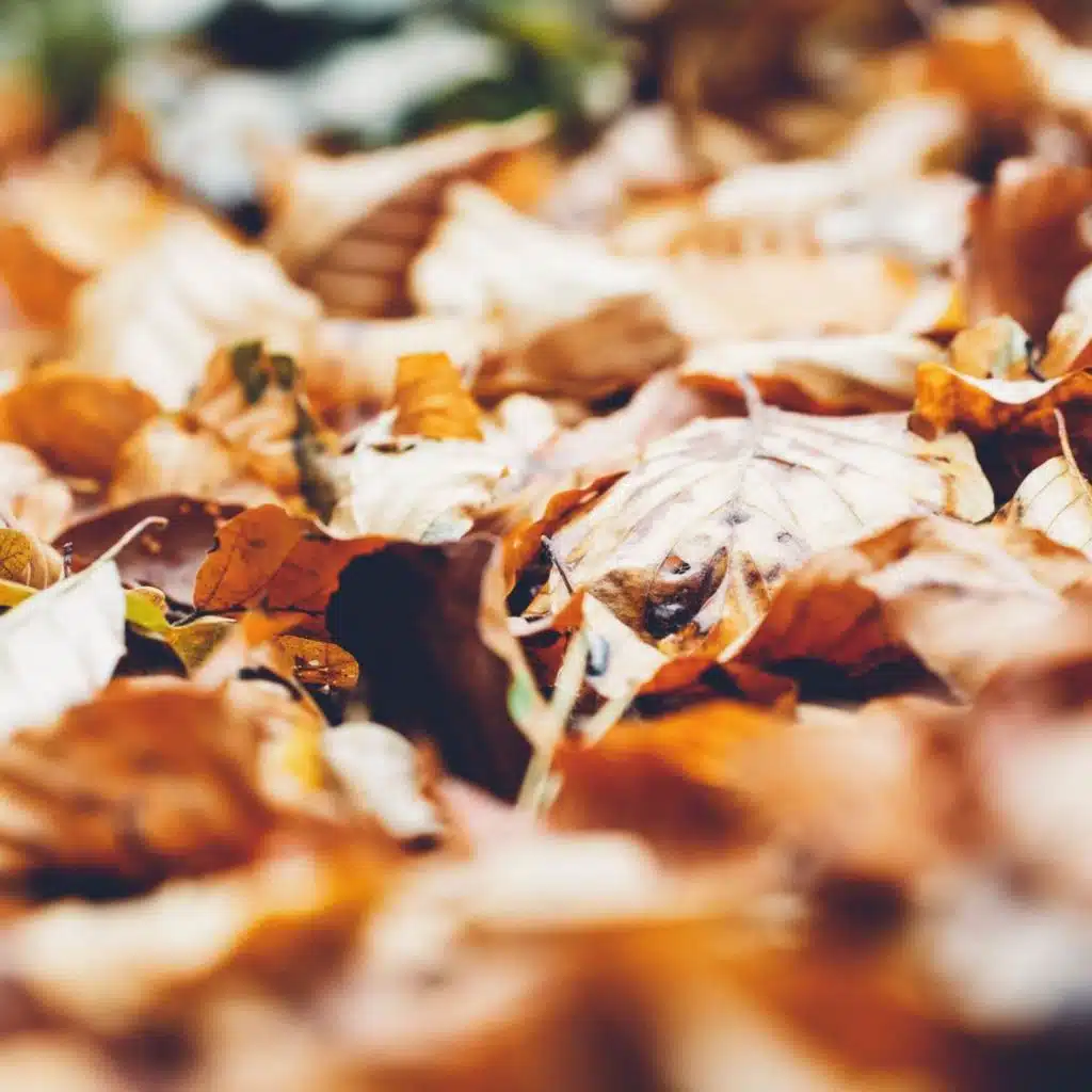 2020 Meditation Music Mix