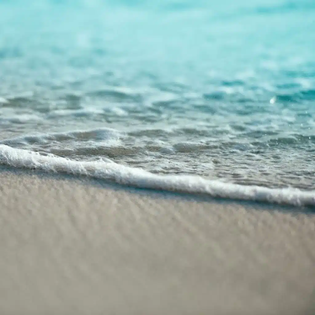 2020 Ambient Garden Meditation Sounds