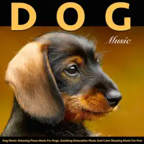 Dog Music: Relaxing Piano Music for Dogs, Soothing Relaxation Music and Calm Sleeping Music for Pets