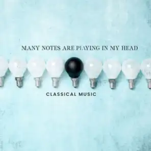Many Notes Are Playing in My Head - Classical Music