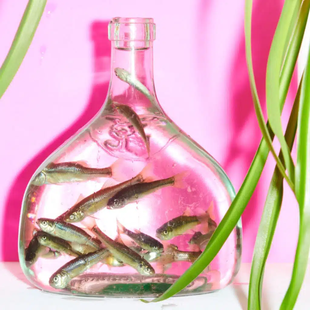 Thank You Friends and Strangers