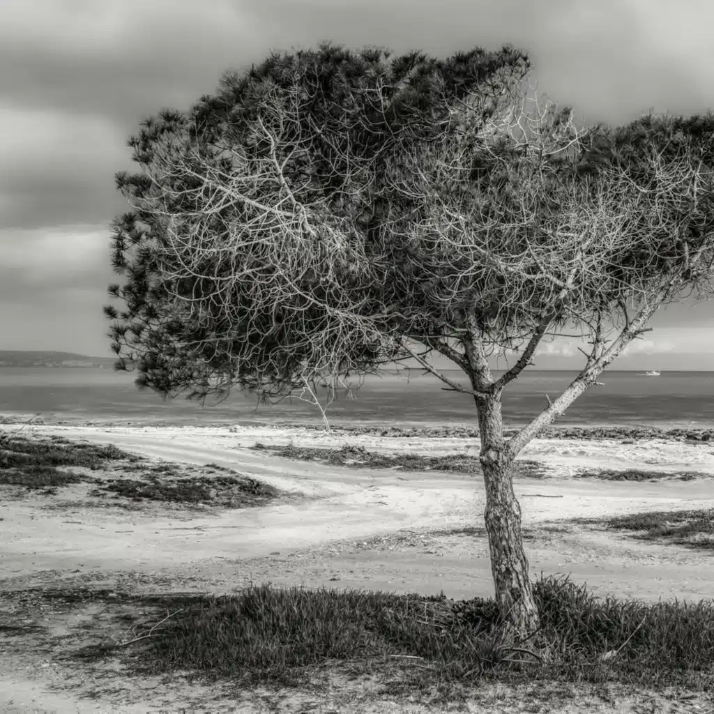 Relaxing Music, Meditation Awareness, Spa Music Relaxation