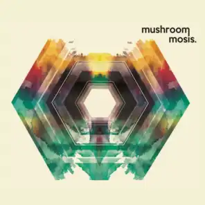 Mushroom Mosis