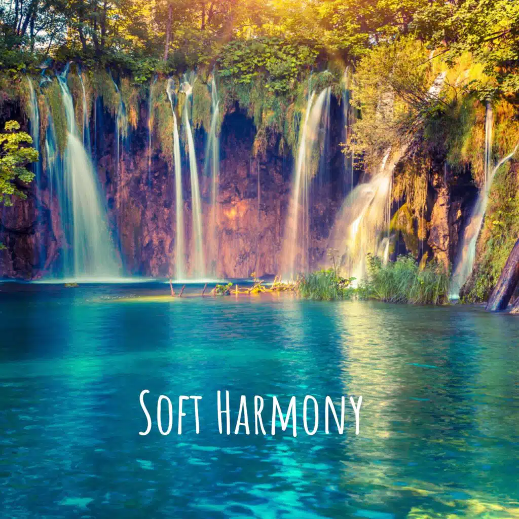 Soft Harmony