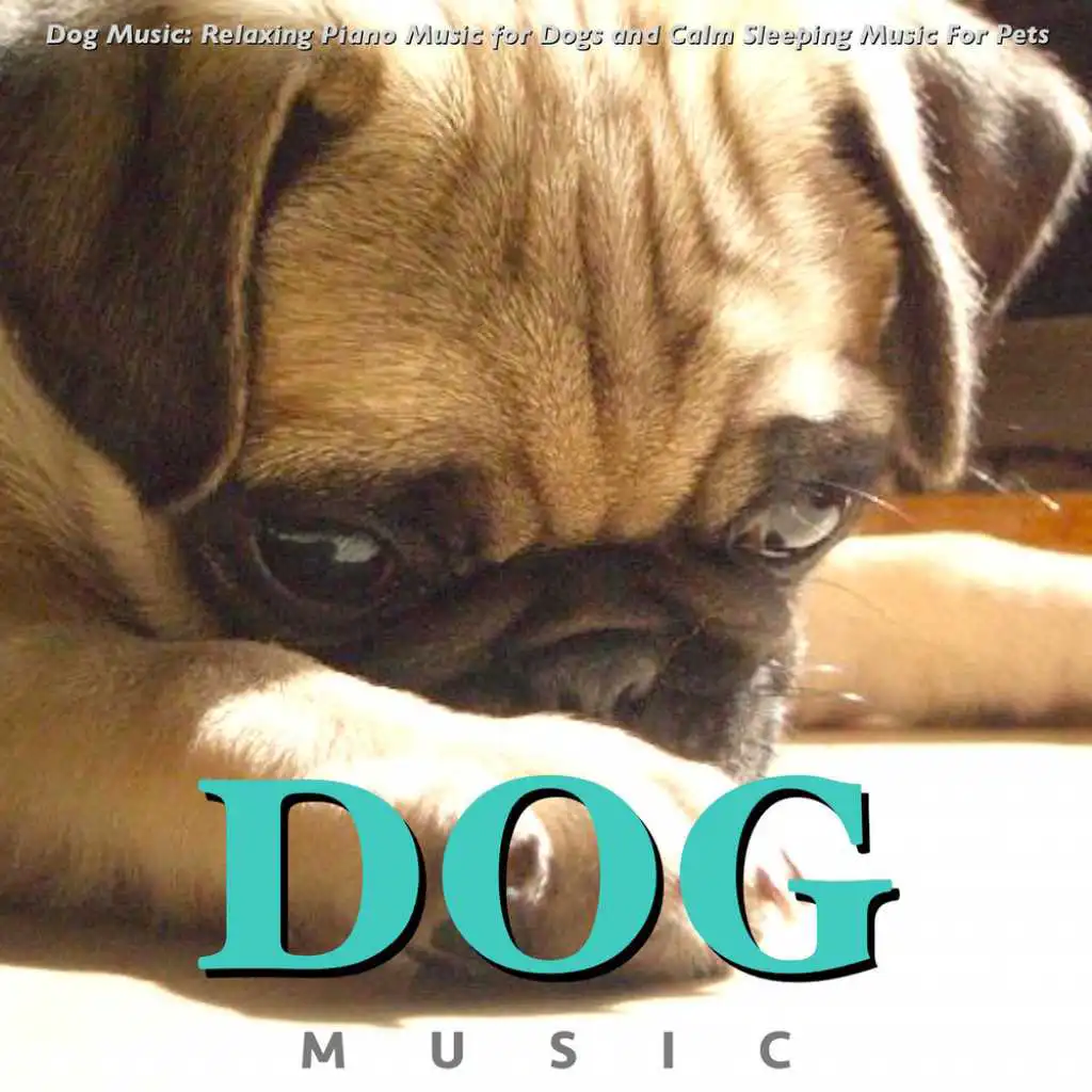 Dog Music: Relaxing Piano Music for Dogs and Calm Sleeping Music for Pets