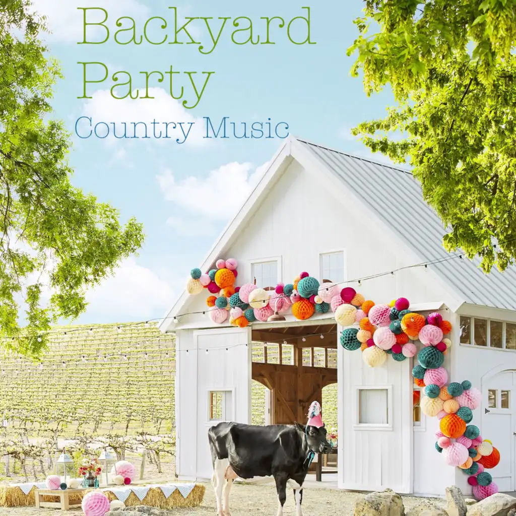 Backyard Party Country Music