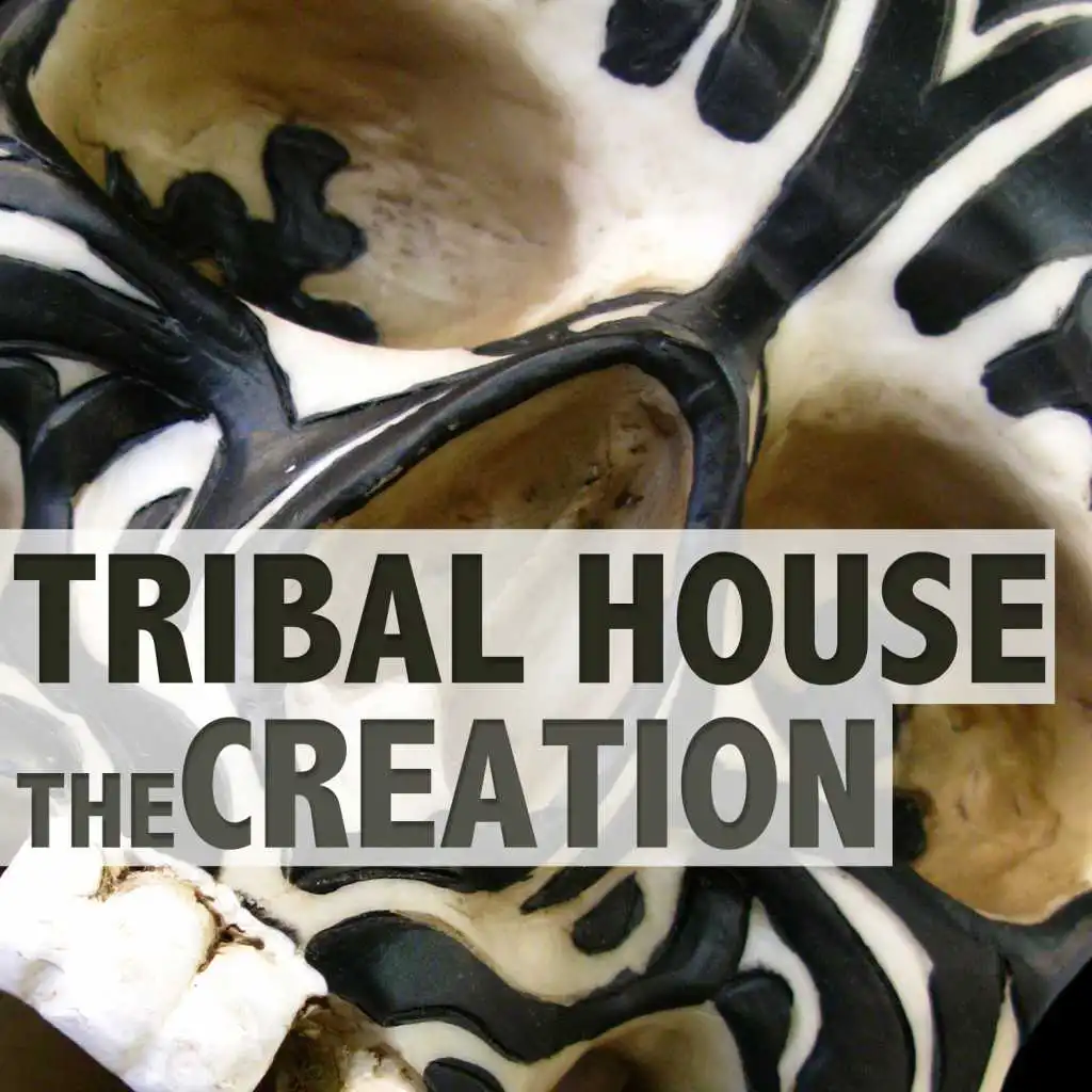 Video (Tribal Mix)