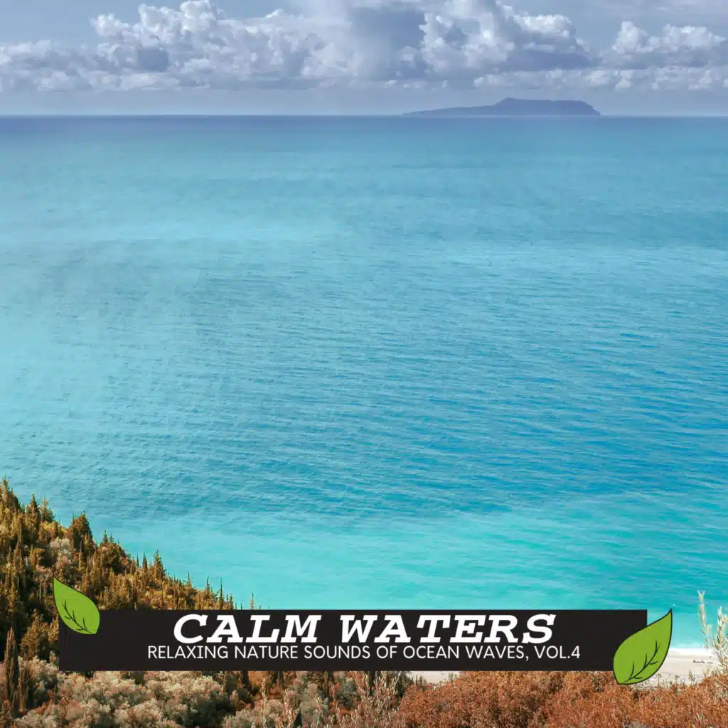 Life of New York Ocean Waves