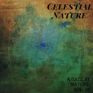 Celestial Nature - A Gaze at Nature, Vol. 10