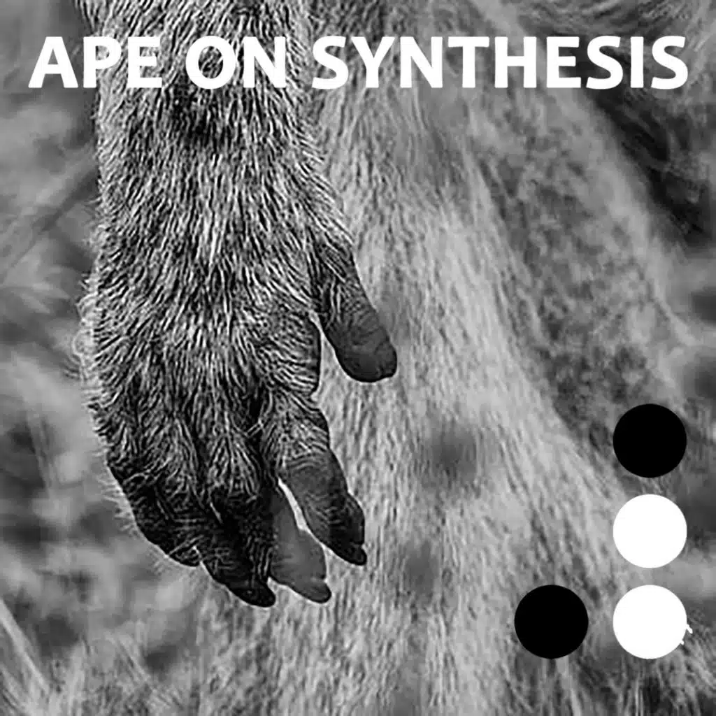 APE ON SYNTHESIS, Vol. 2