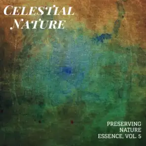 Nature Forest Energy Music