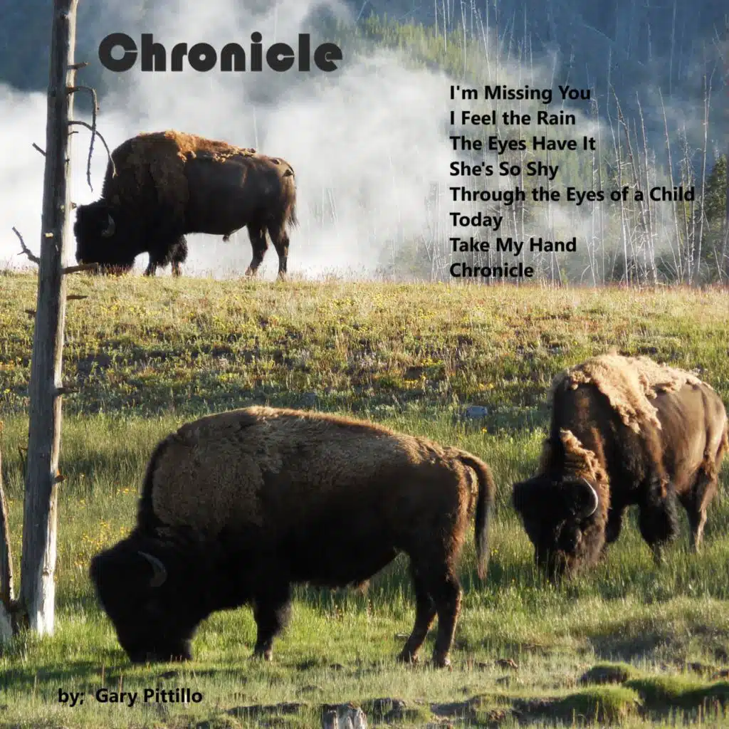 Chronicle