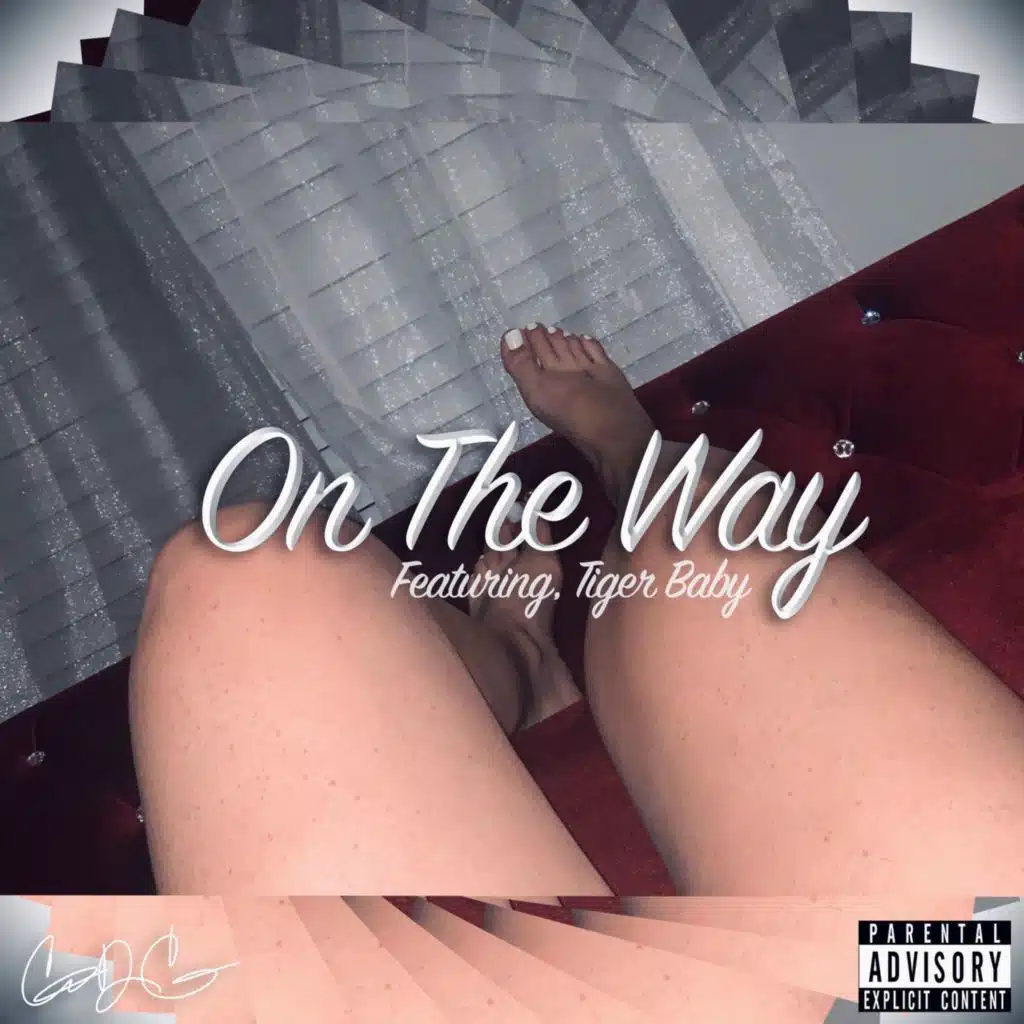 On the Way (feat. Tiger Baby)