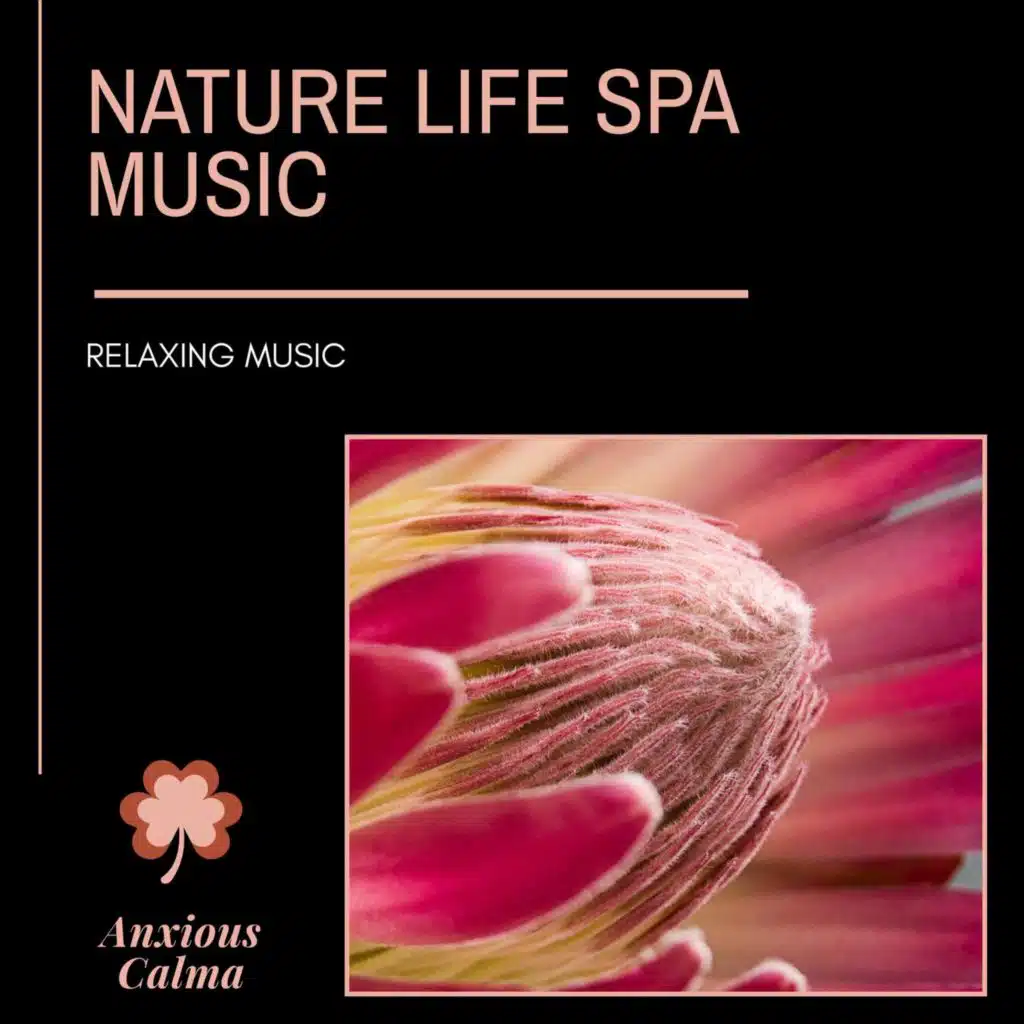 Mystical Guide and Spiritual Sound Clubb