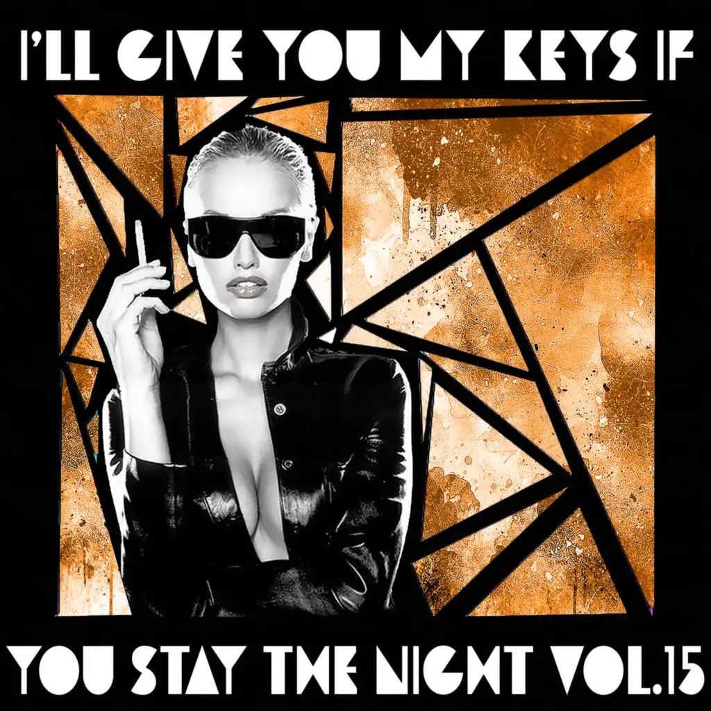 I'll Give You My Keys If You Stay The Night Vol. 15