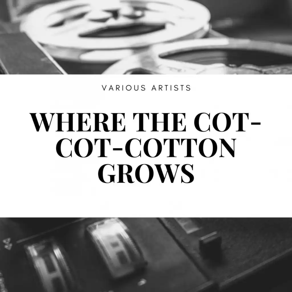 Where the Cot-Cot-Cotton Grows