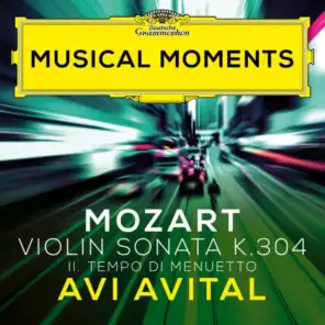 Mozart: Violin Sonata No. 21 in E Minor, K. 304: II. Tempo di Menuetto (Transcr. Avital for Mandolin and Piano) (Musical Moments)