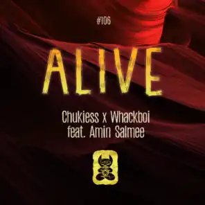Alive (Radio Mix) [feat. Amin Salmee]