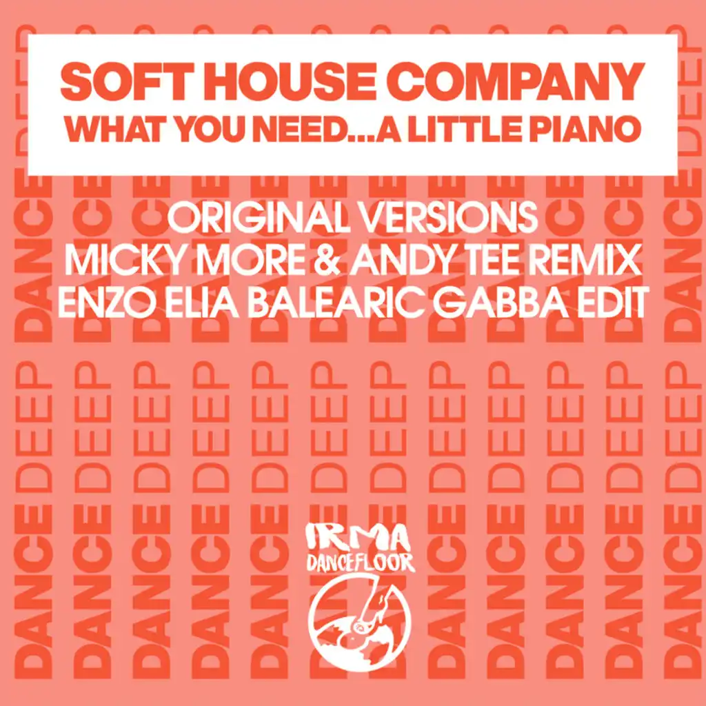 What You Need (Micky More & Andy Tee Mix)