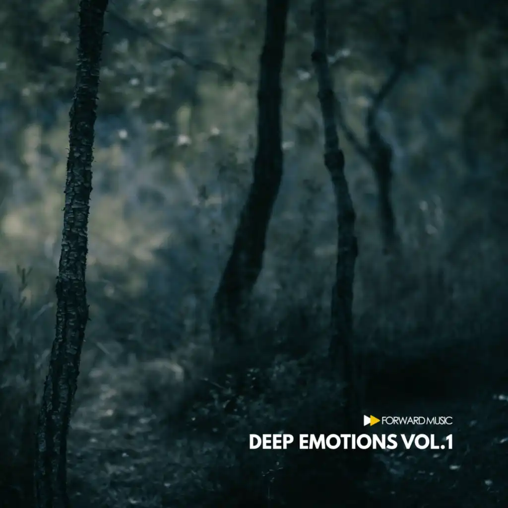 Deep Emotions, Vol. 1 (feat. Hot TuneiK, Robert R. Hardy & Christian Monique)