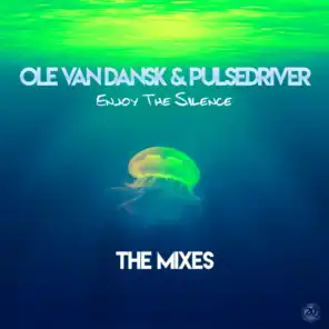 Pulsedriver & Ole van Dansk