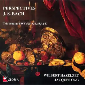 Trio in D Minor, BWV 583 (Arr. W. Hazelzet for Baroque Flute & Harpsichord)