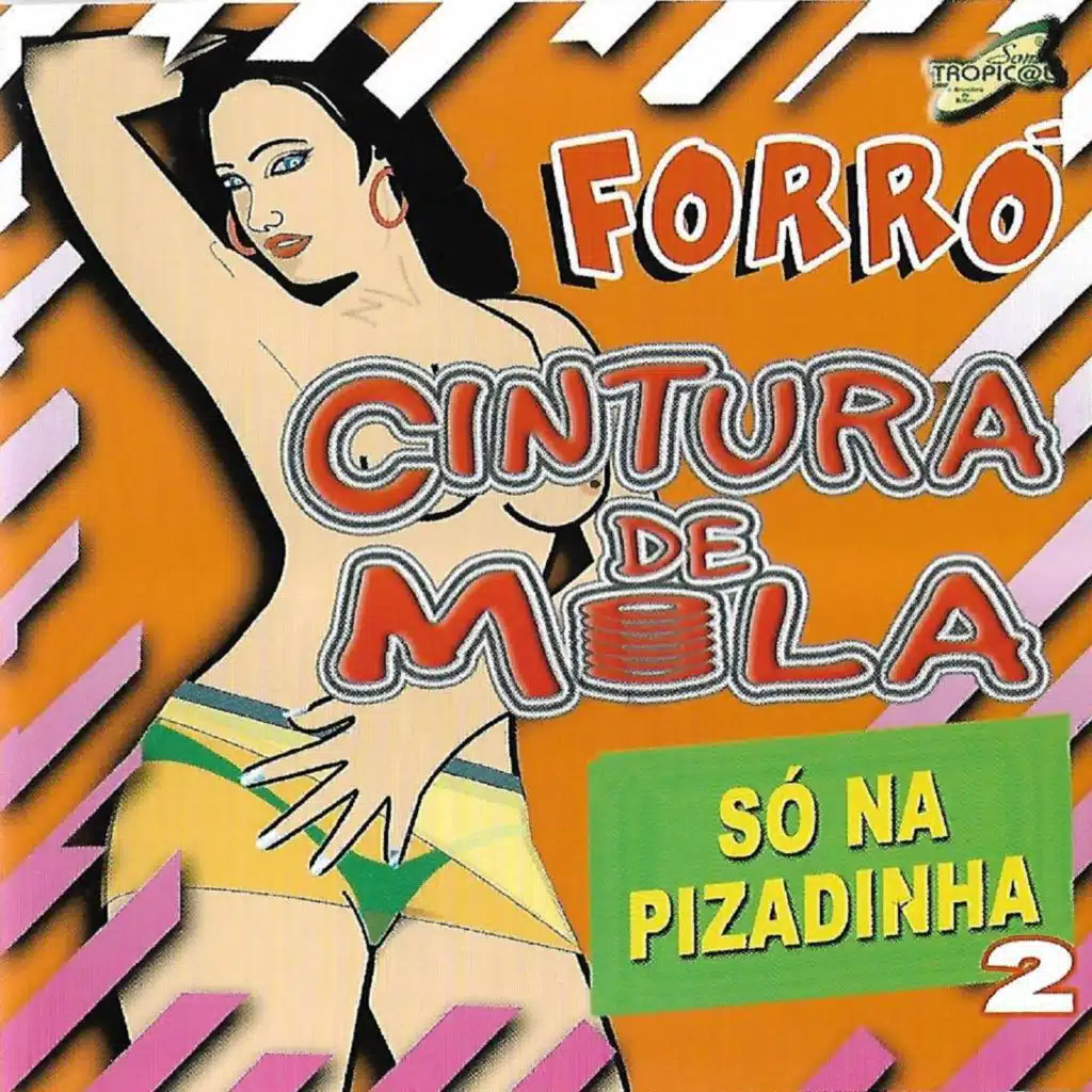 Só na Pizadinha, Vol. 2 2