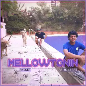 Mellowtonin (feat. Jujhar)