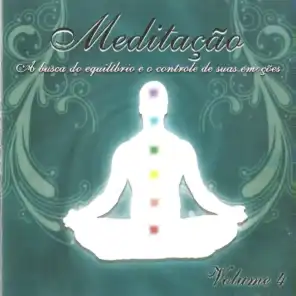 Meditação, Vol. 4