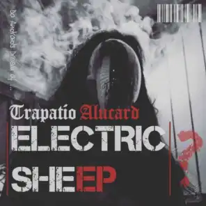 Electric Sheep