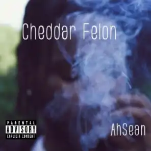 Cheddar Felon