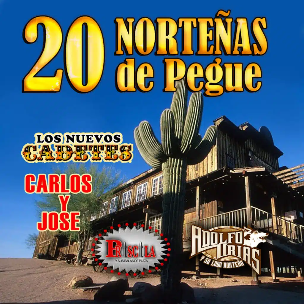 20 Norteñas De Pegue