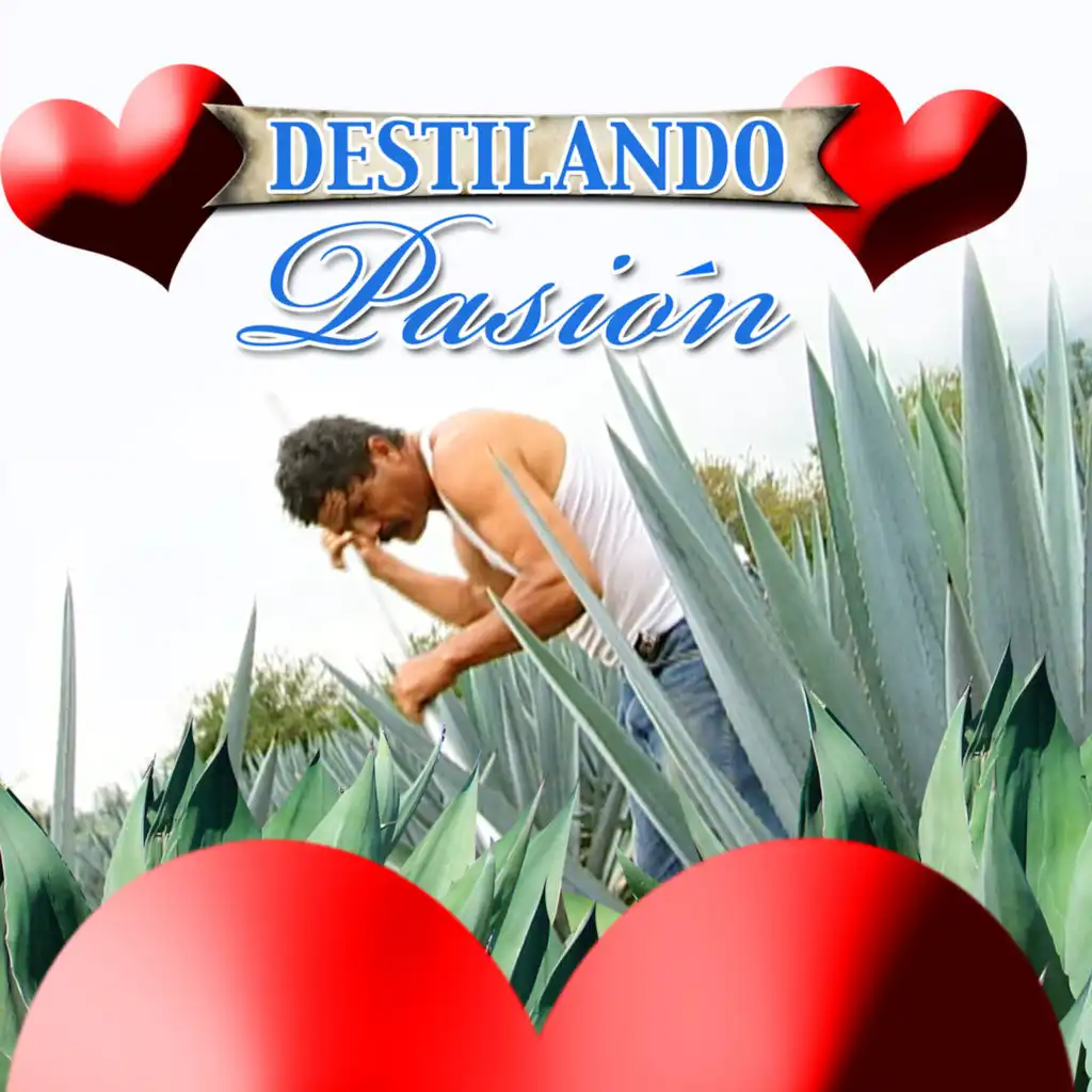 Quien Te Dijo Que Te Quiero