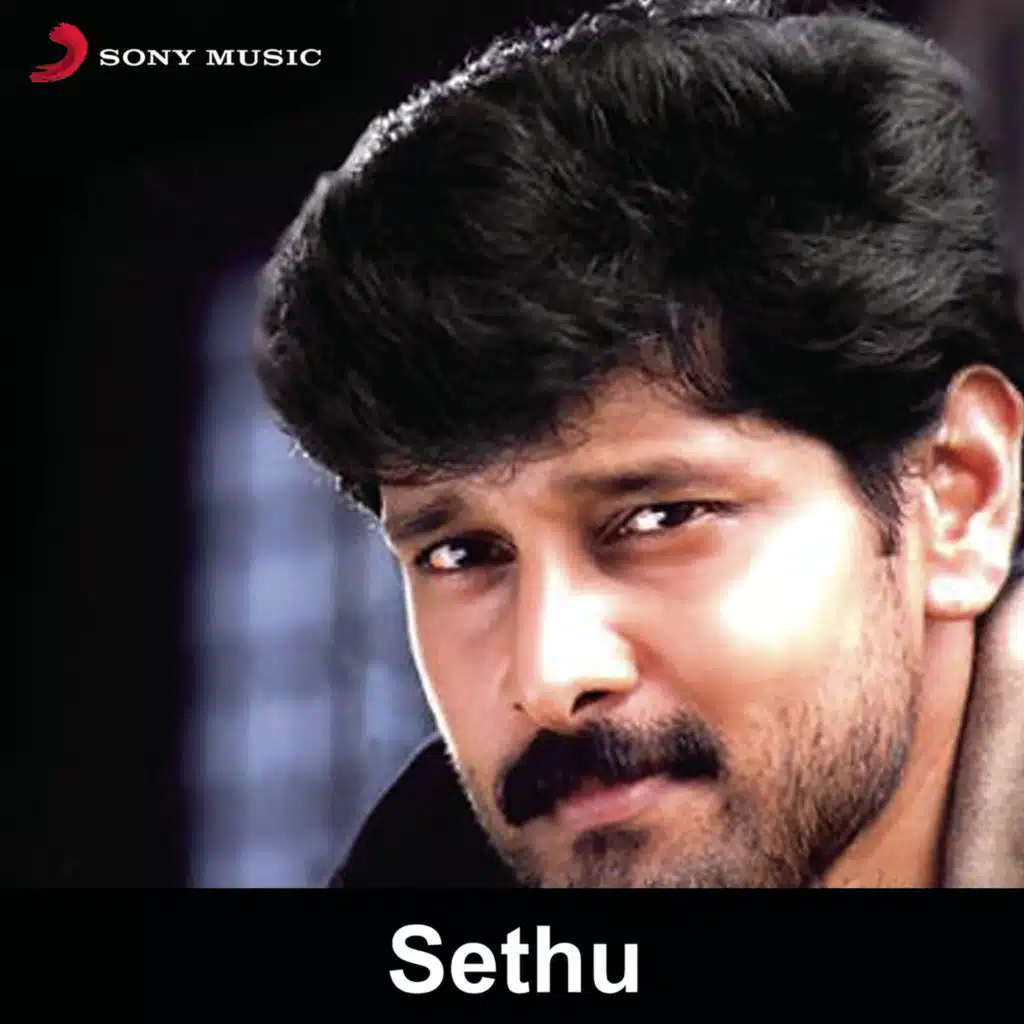 Sethu (Original Motion Picture Soundtrack)