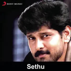 Sethu (Original Motion Picture Soundtrack)