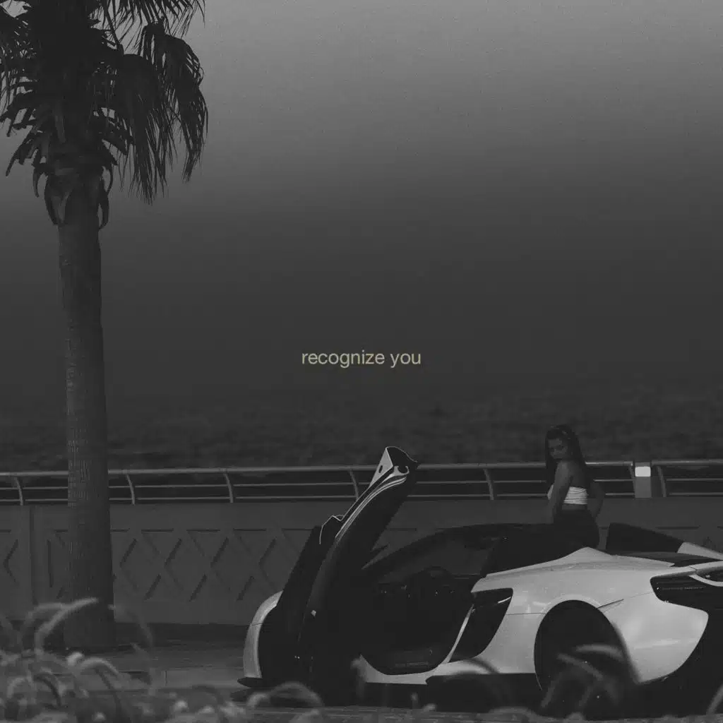 recognize you (feat. N I V O)