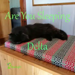 Are You Sleeping Delta