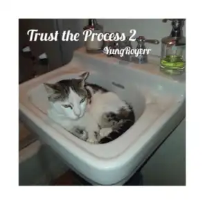 Trust the Process 2