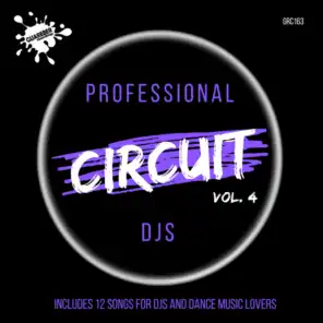 Professional Circuit Djs Compilation, Vol. 4