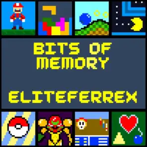Bits of Memory